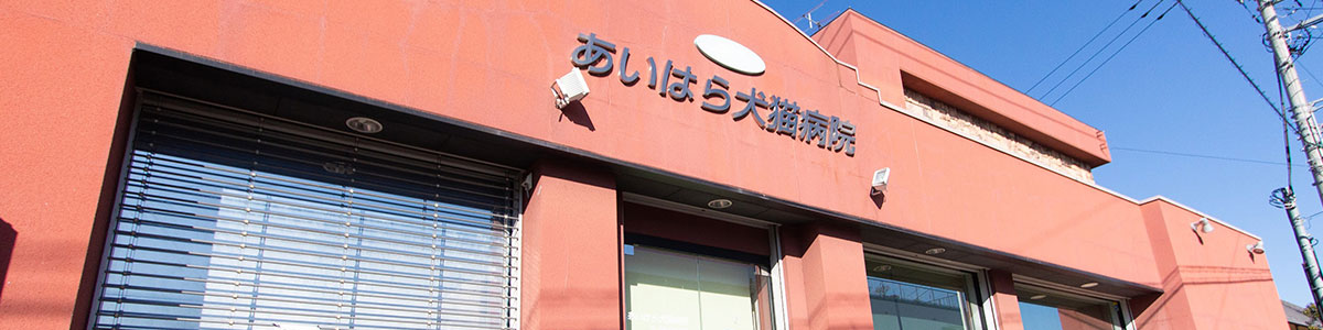 アクセス 見出し画像