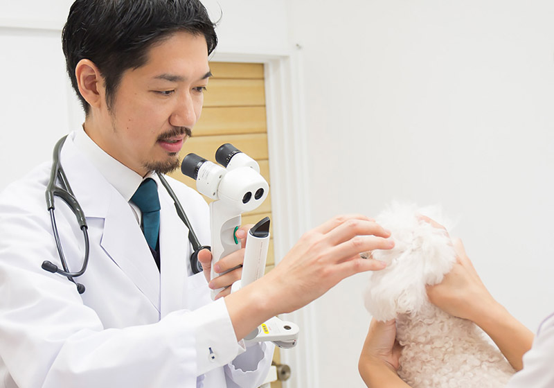 眼科のサムネイル写真