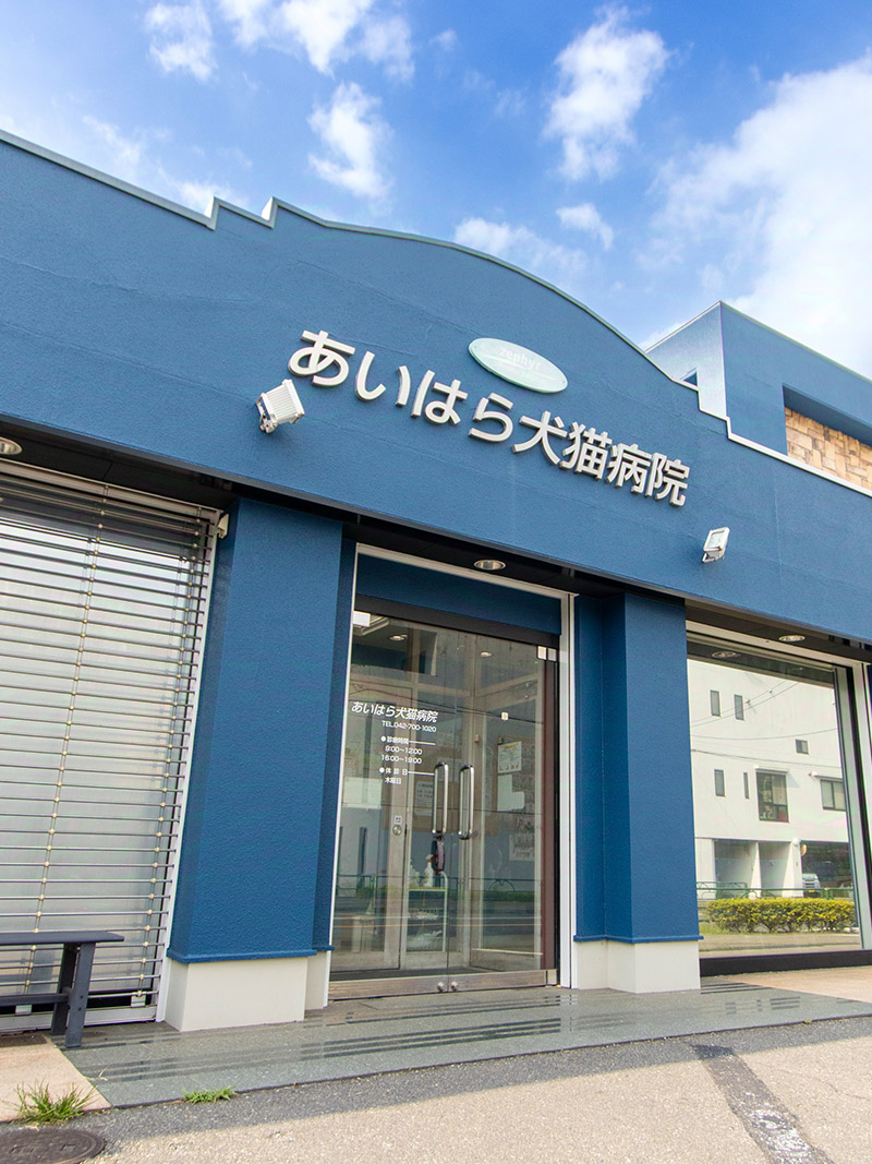 あいはら犬猫病院メインビジュアル1